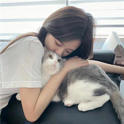 荒野五侠客